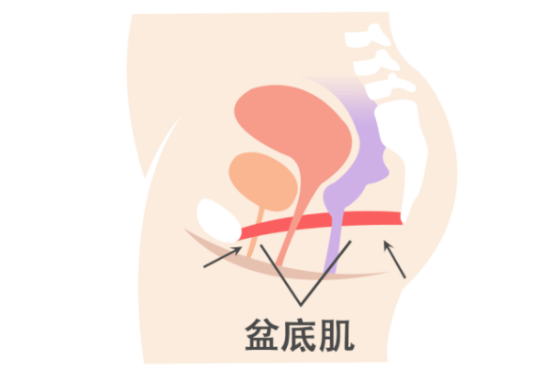 产后恢复哪些项目必做，哪个项目是较值得做的