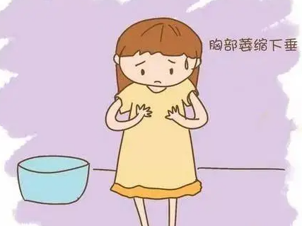 女性产后如何有的丰胸