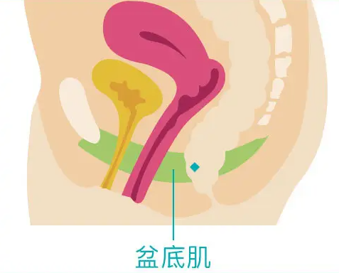 盆底肌修复请问去哪个医院好